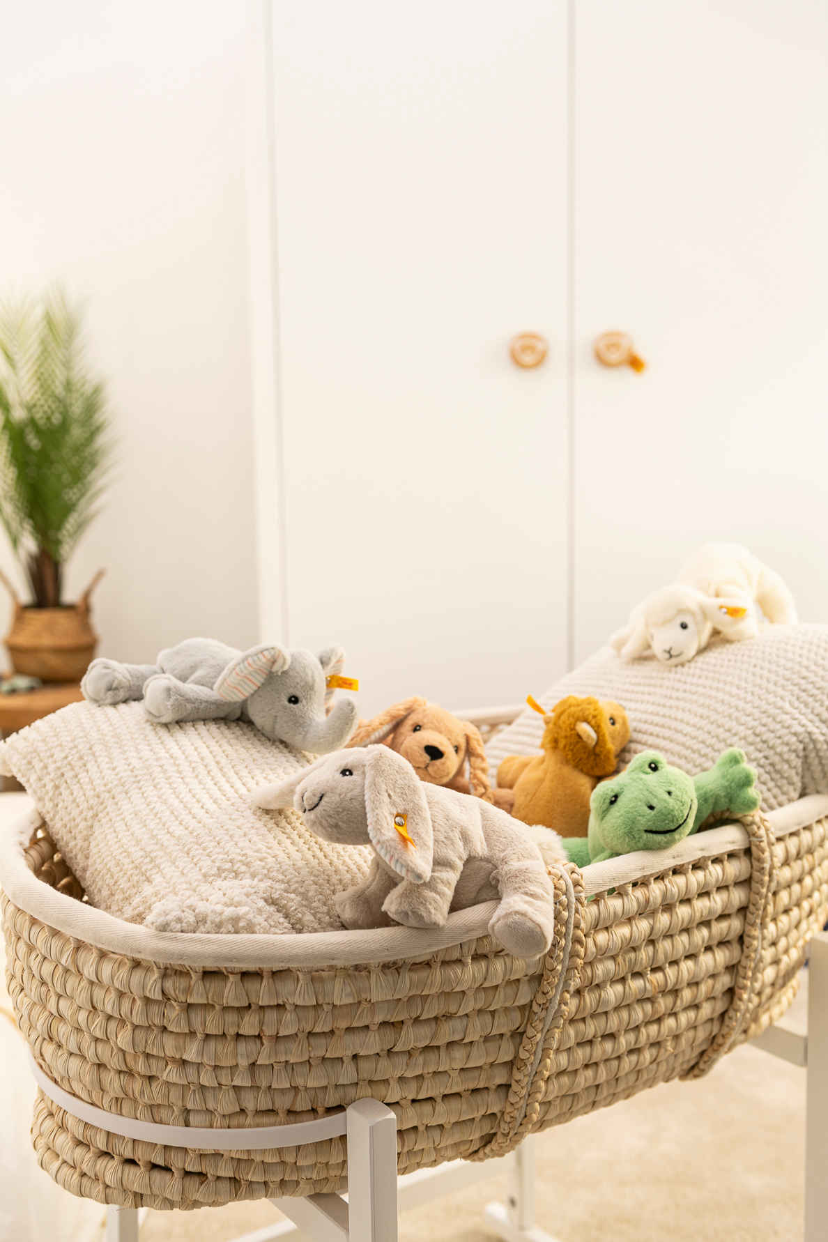 Soft Cuddly Floppy Frosch - von steiff